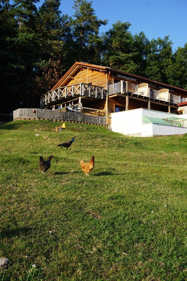 Apartmán Gradlhof Postbauer-Heng Exteriér fotografie